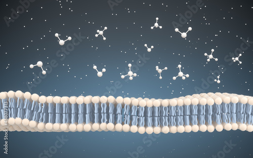 Cell Membrane and Molecules, 3d rendering. photo