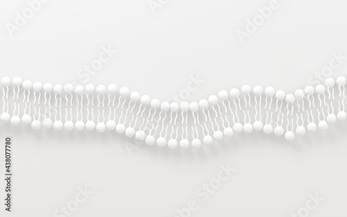Cell membrane with white background, 3d rendering.