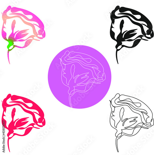 set of images of a rose in various styles - line art, fills, gradients, various color options, blank for design 