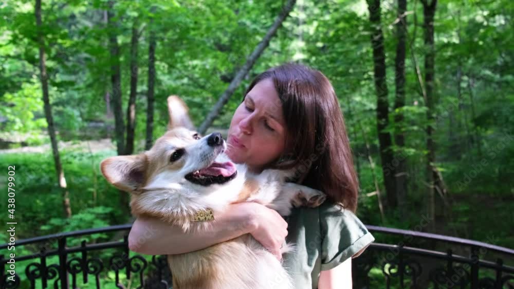 Beautiful girl petting a dog corgi dog Beautiful girl petting a dog corgi dog