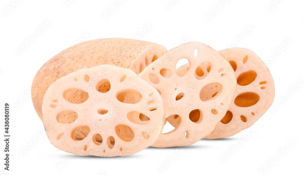 Lotus root isolated on white background Lotus root isolated on white background