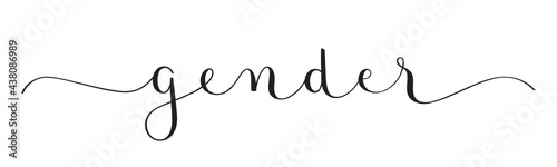 GENDER black vector brush calligraphy banner with swashes on white background