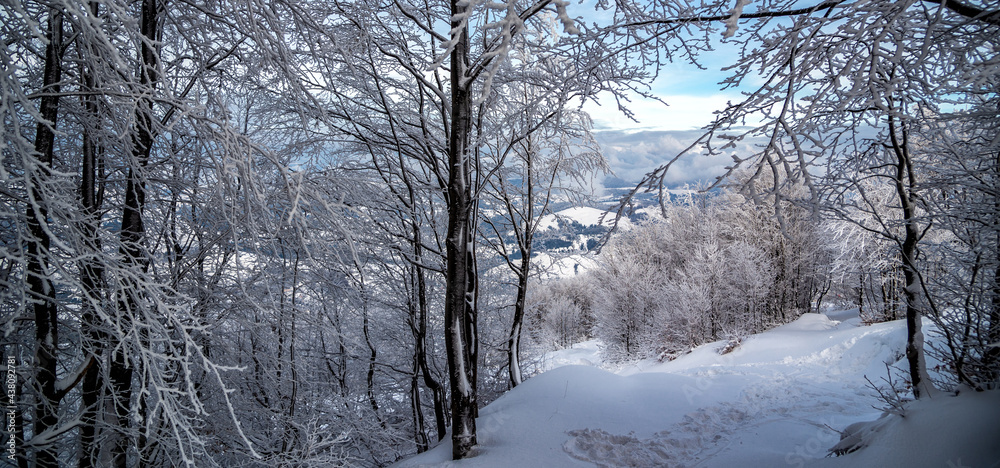 Fototapeta premium Winter landscape in mountains. Carpathian, Ukraine