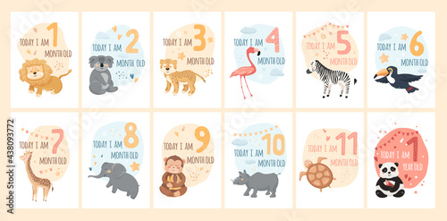 Baby milestone cards with cute animals and numbers. Kids month anniversary prints for newborn girl, boy. Jungle characters with graphic elements, stars, heart, clouds. Cartoon vector illustrations set
