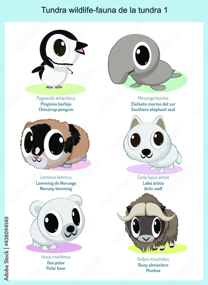 Tundra wildlife cartoons, cute wild animals in vector with scientific name, and common name in English and Spanish Stock Vector | Adobe Stock Tundra wildlife cartoons, cute wild animals in vector with scientific name, and common name in English and Spanish Stock Vector | Adobe Stock