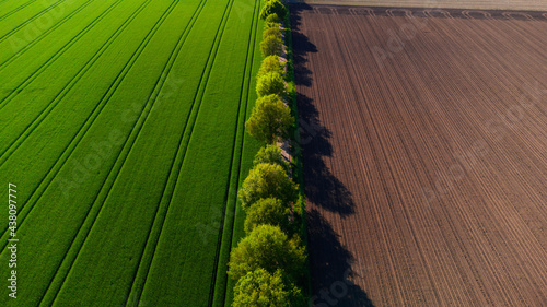 Blick auf sommerlich symmetrische grüne Felder und Ackerboden getrennt durch eine Linie Bäume. photo
