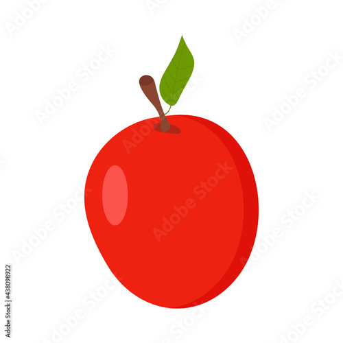 A ripe red apple on a white background for use in web design or as a print