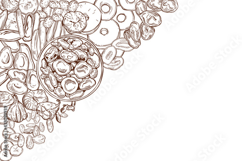 Dried fruits . Vector background.