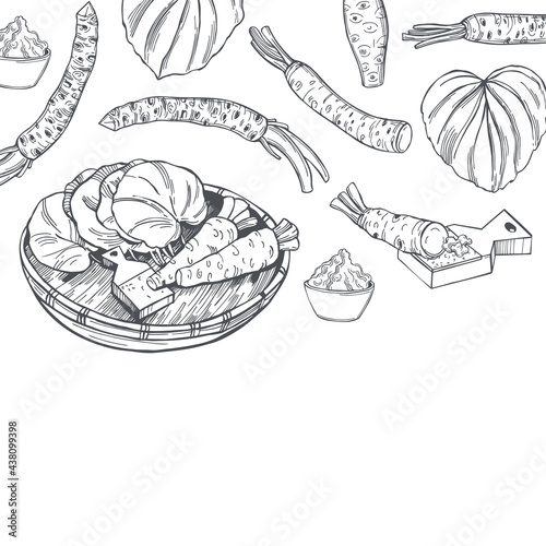 Wasabi, root and leaves. Vector background.