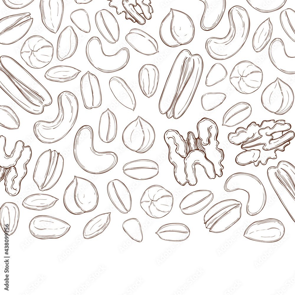 Nuts. Vector background. Nuts. Vector background.