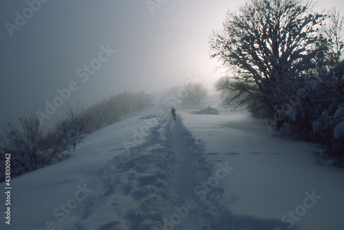 Camminando nella neve