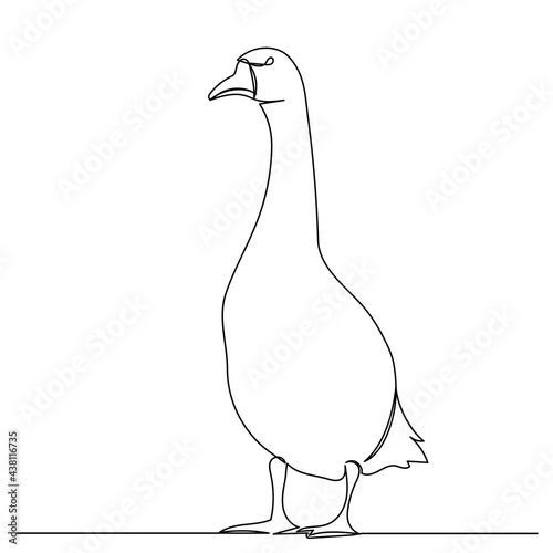 goose drawing by one continuous line isolated, vector