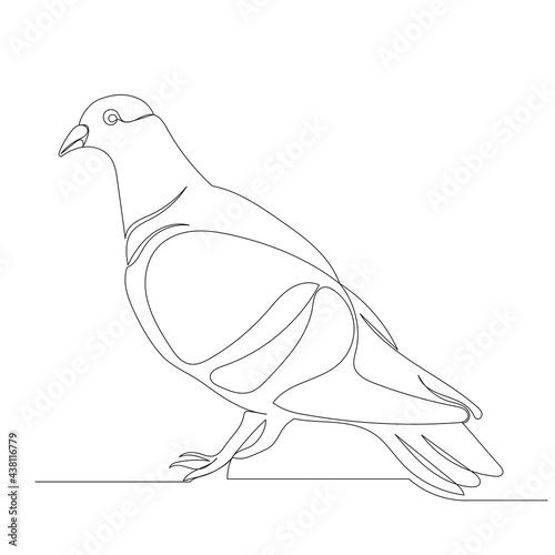 Wallpaper Mural pigeon drawing one continuous line isolated, vector Torontodigital.ca