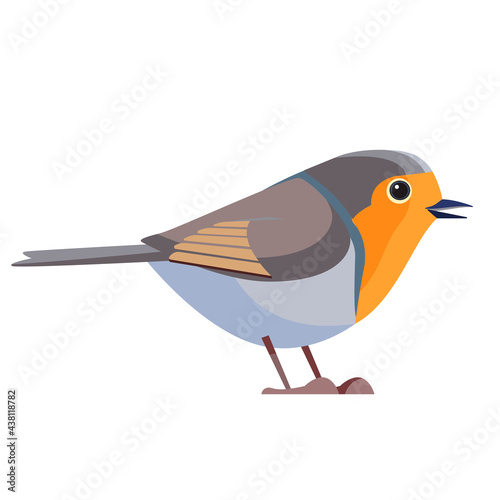 European robin is a small insectivorous passerine bird that belongs to the chat subfamily flycatcher family. Bird Cartoon flat style beautiful character of ornithology, vector illustration isolated.