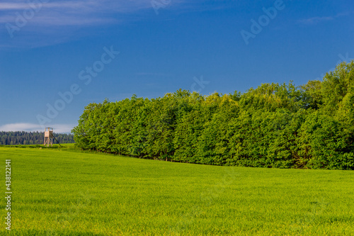 Sommer Spaziergang durch die schöne Stadt Schmalkalden - Thüringen - Deutschland photo