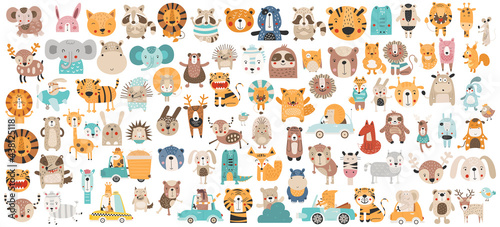 Fototapeta Naklejka Na Ścianę i Meble -  Safari woodland animals clipart isolated set. Jungle creatures nursery prints. Kids vector illustration.