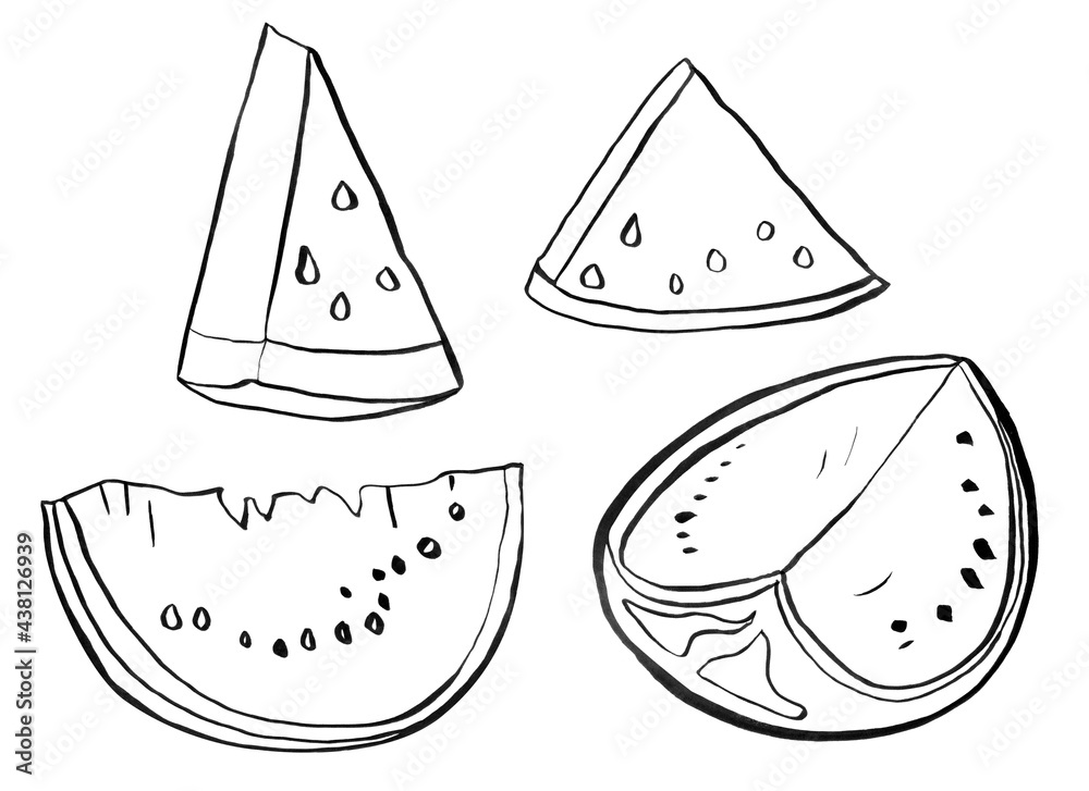 Fototapeta premium Watermelons linear drawing elements set. Template for decorating designs and illustrations.