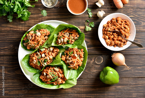Slika na platnu Asian minced meat lettuce wraps