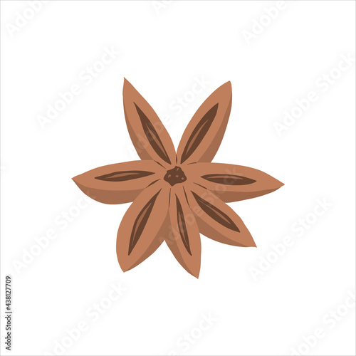 Anise spice star, handrawn vector illustration, detailed colored clipart isolated