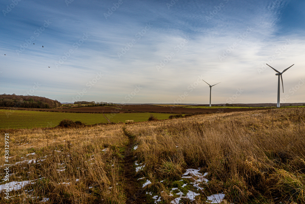 Fototapeta premium wind turbines in the field