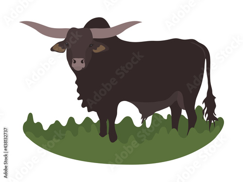 animal, animals, farm, cartoon, vector, illustration, drawing, isolated, white, background,
