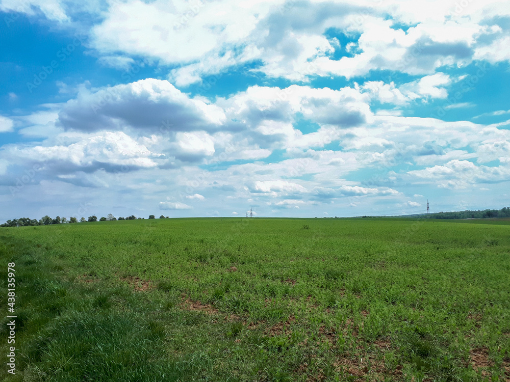 Green agricultural field against blue cloudy sky in Oedheim, Germany Green agricultural field against blue cloudy sky in Oedheim, Germany