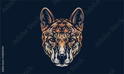 Foto dingo on black background