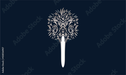 kiwi bird on black background