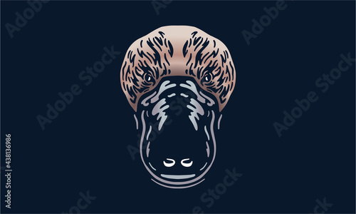 platypus on black background
