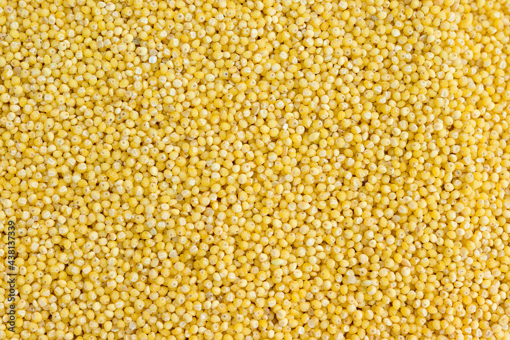 millet groats close-up, top view