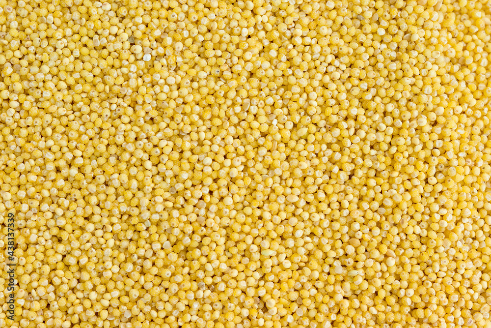 millet groats close-up, top view millet groats close-up, top view