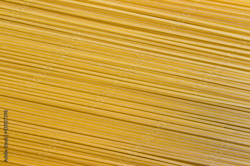 durum wheat spaghetti pasta  close-up