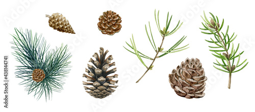 Pine branch, cone set. Watercolor illustration. Hand drawn evergreen pine tree elements. Spruce branches, cone and needle fir tree collection. Traditional festive decor objects on white background