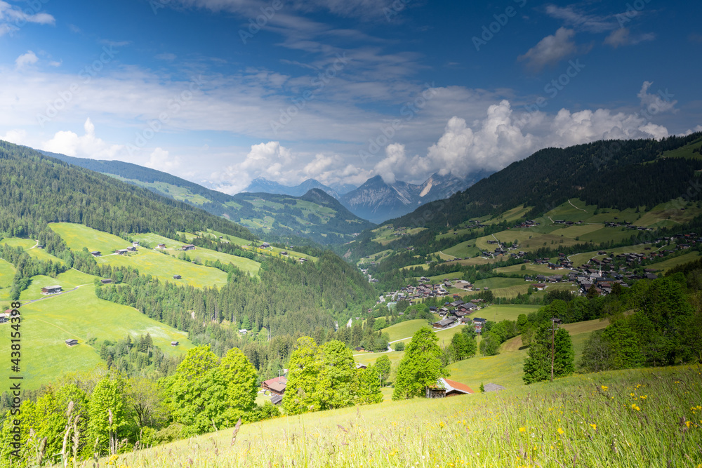 Mountain meadows in Tyrol near Achensee, Austria
