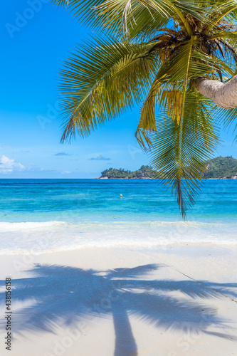 cocotiers sur plage des Seychelles  © Unclesam