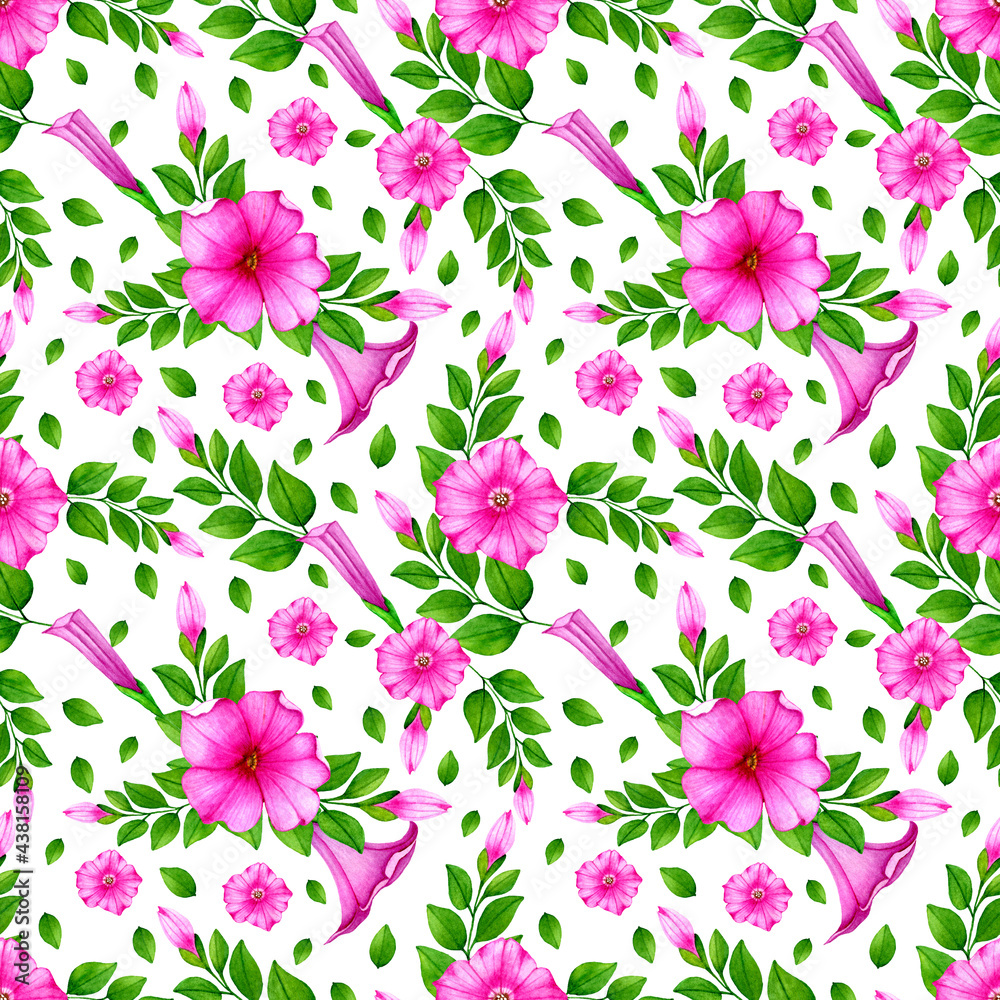 Summer seamless floral pattern with hand drawn watercolor pink petunias flowers,buds and green leaves.On white  background.