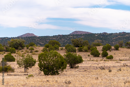 Open land in Williamson Valley