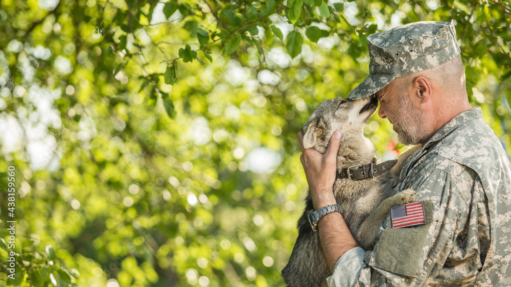 Soldier with military dog outdoors on a sunny day