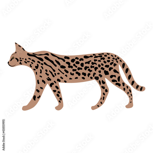 Leopard or cheetah exotic animal. Cute cartoon character. Vector wild cat isolated on white background. Perfect for kids app, game, book, print, cards, sticker.