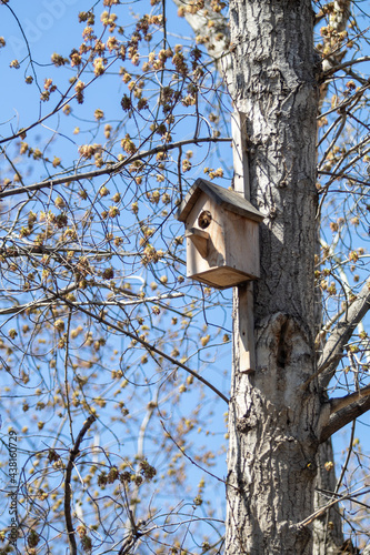 wooden birdhouse hanging on the tree spring park