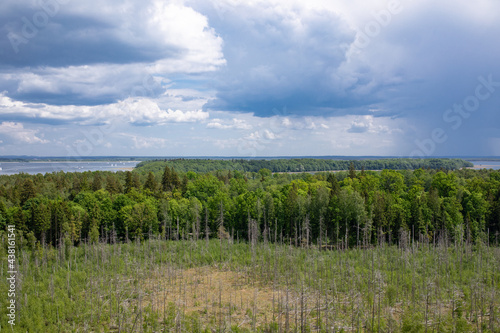 View on the Great Masurian Lakes from the observation tower in Mamerki photo