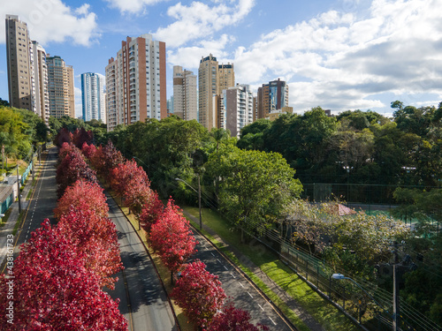 A rua  Deputado Heitor Alencar Furtado no bairro Mossunguê tembém chamado de Ecoville, no outono fica com as árvores todas vermelhas. Curitiba, Paraná, Brasil. photo