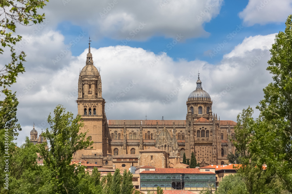Majestic view at the gothic building at the Salamanca cathedral tower cupola dome and University of Salamanca tower cupola dome, surrounding vegetation