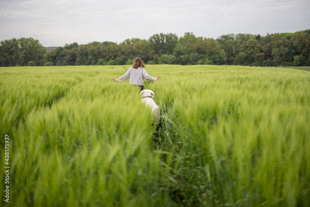 Woman with big white sheepdog running on green rye field. Farming and countryside life. Freedom and activity. Woman with big white sheepdog running on green rye field. Farming and countryside life. Freedom and activity.