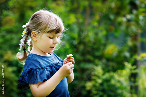 Little preschool girl with braids and daisy flowers in long blond hairs. Close-up of toddler child. Summer concept. Children outdoors with daisies flower. Playing he loves me.