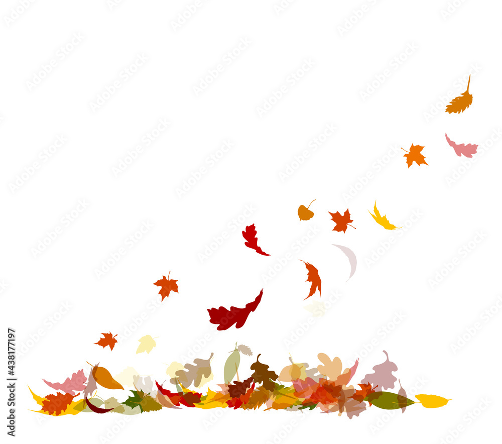 Fototapeta premium Abstraction of autumn leaves. Background from autumn leaves. Vector illustration