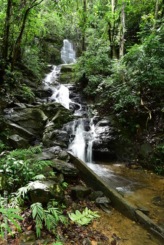 waterfall in the forest