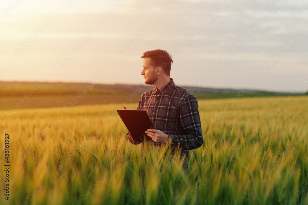 Young farmer control his wheat field and take notes in the folder.
