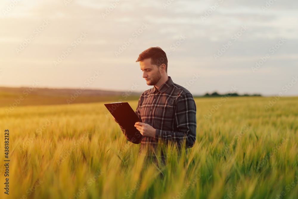 A young farmer examines the field of cereals and take notes in the folder. A young farmer examines the field of cereals and take notes in the folder.