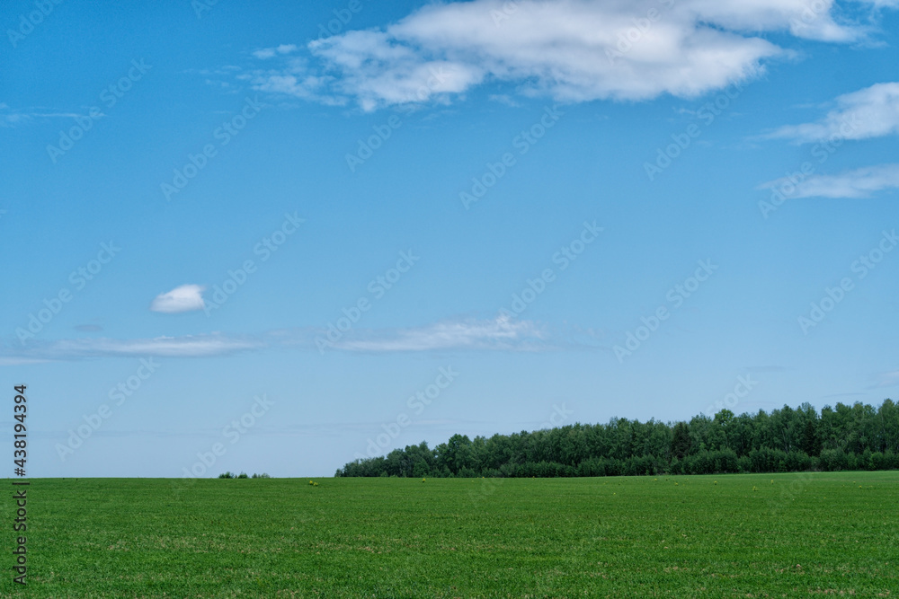 Rural scene with Green field and blue sky.